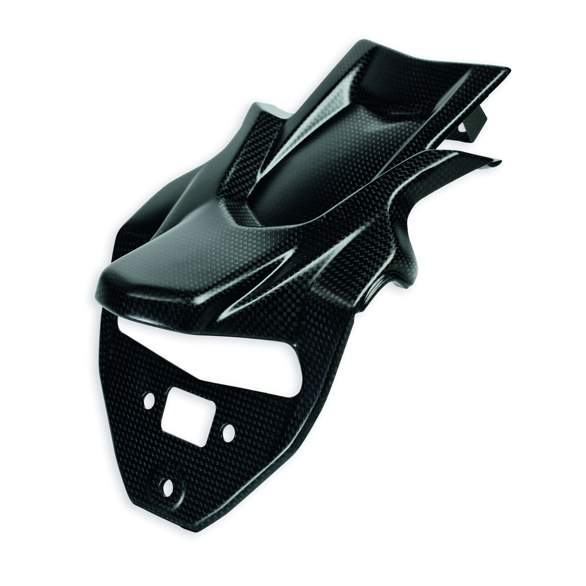 Ducati Multistrada 1260 Carbon Fiber Plate Holder (96981091A
