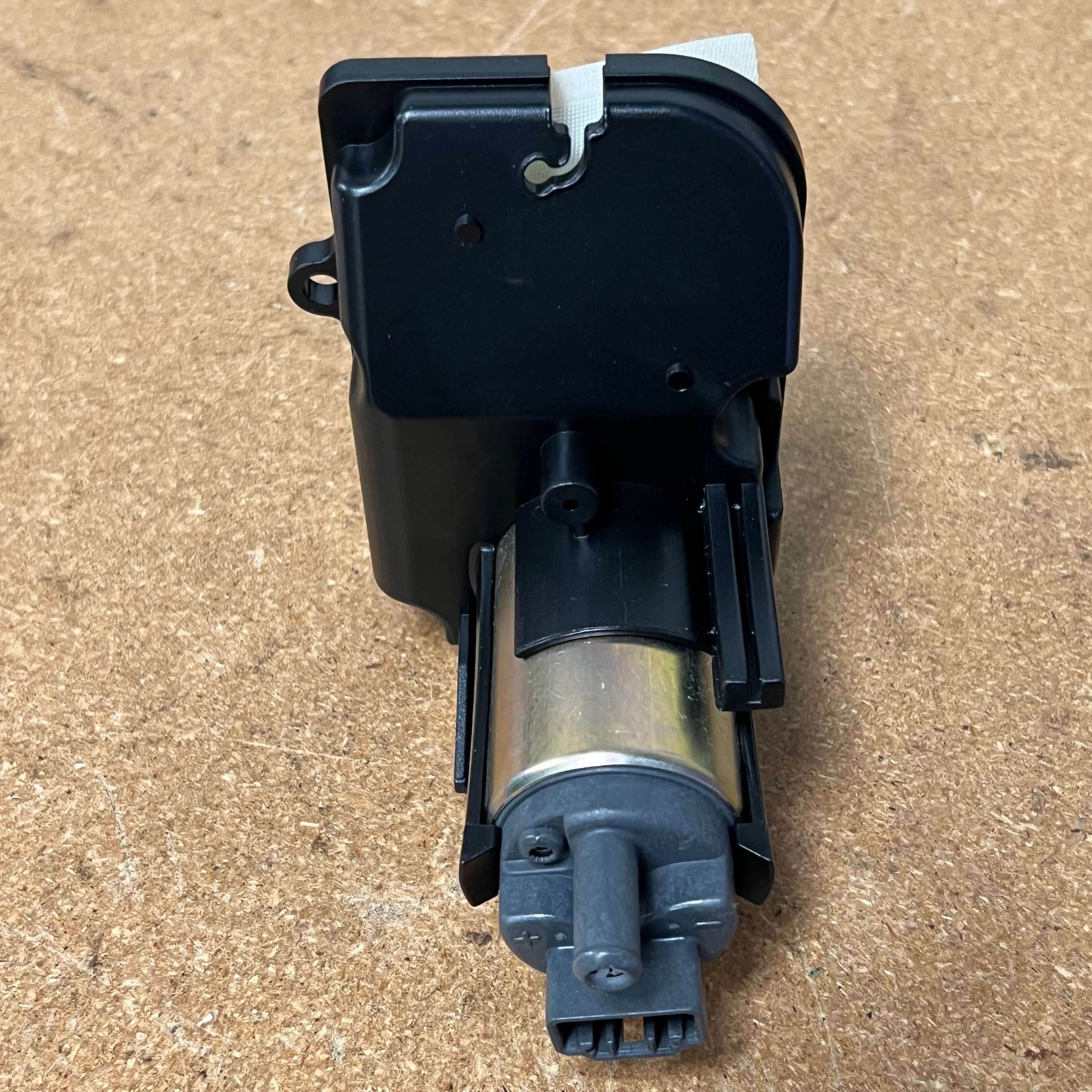 IMG_2914_4100x.jpg?v=1693071300